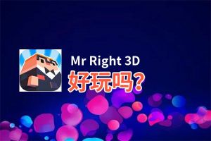 Mr Right 3D好玩吗？Mr Right 3D好不好玩评测