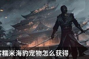 我的侠客糯米海豹宠物怎么获得