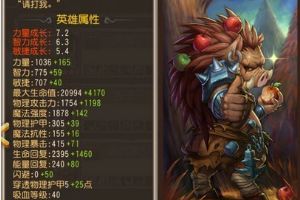 刚背猪英雄分析