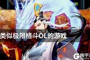 类似极限格斗OL的游戏