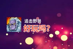 追击野兽好玩吗？追击野兽好不好玩评测