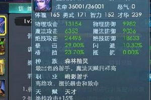 两大主流流派阵容要点攻略
