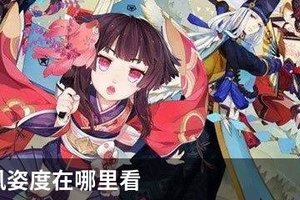 阴阳师风姿度在哪里看