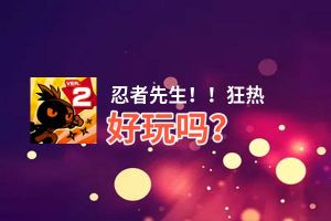 忍者先生！！狂热好玩吗？忍者先生！！狂热好不好玩评测