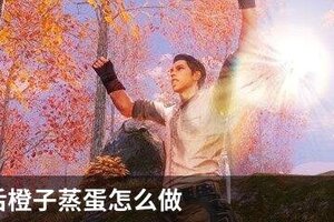 明日之后橙子蒸蛋怎么做