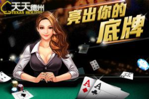 新手入门宝典