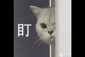 王者荣耀体验服2月12更新了什么 2月12日体验服更新内容一览