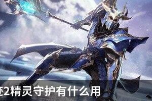 全民奇迹2精灵守护有什么用