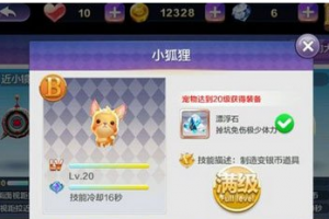 b级宠物搭配攻略