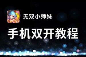 无双小师妹双开软件推荐 全程免费福利来袭