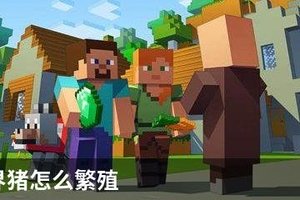 我的世界牛怎么繁殖