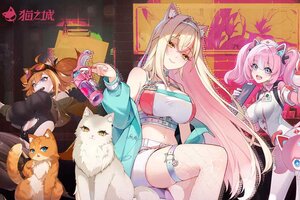 猫之城下载地址分享 最新猫之城官方安装包