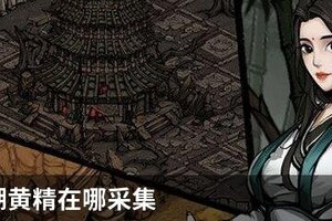烟雨江湖黄精在哪采集