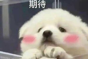 《阿瑞斯病毒2》周年爆料第二弹！超多免费福利！速看！