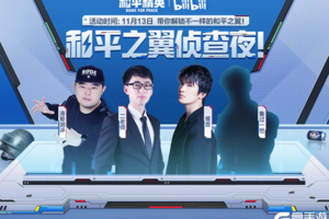 bilibili 和平之翼侦查夜！