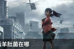 明日之后羊肚菌在哪