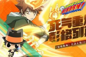 家庭教师沢田纲吉喜欢什么礼物