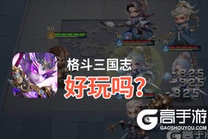 格斗三国志好玩吗？格斗三国志好不好玩评测