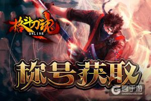 我怎么没有？《格斗刀魂》稀有称号获取