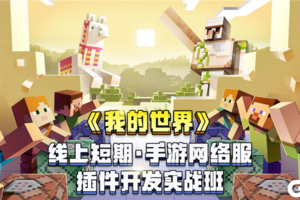 丰厚奖励等你来拿！《我的世界》手游网络服插件开发实战班开启啦