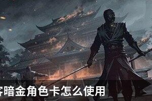 我的侠客暗金角色卡怎么用