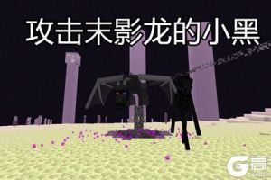 谁能比它惨《我的世界》中身世凄惨生物 它还没出生就被疯狂针对