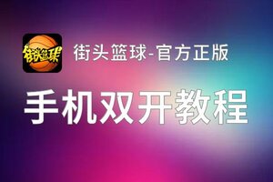 街头篮球-官方正版怎么双开  街头篮球-官方正版双开挂机软件推荐