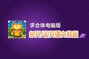 求合体怎么双开、多开？求合体双开助手工具下载安装教程