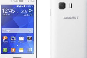三星新款入门机型Galaxy Young 3曝光