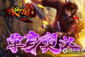 单身的奥义 《格斗刀魂》 光棍有礼