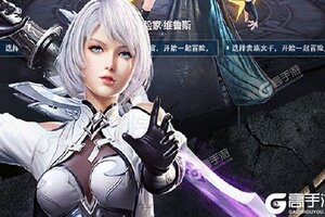 下载新版本《圣域传奇》 磨刀霍霍向新服