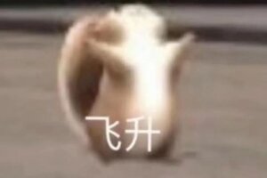《梦想桃源》桃源研究院丨普通道兵升星后 他们成功上桌了吗？