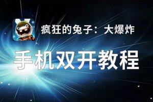 怎么双开疯狂的兔子：大爆炸？ 疯狂的兔子：大爆炸双开挂机图文全攻略