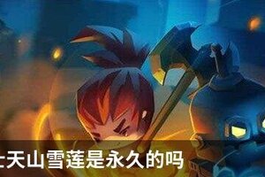 元气骑士天山雪莲是永久的吗