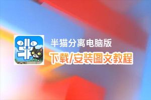 半猫分离电脑版_电脑玩半猫分离模拟器下载、安装攻略教程