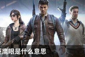 和平精英鹰眼是什么意思