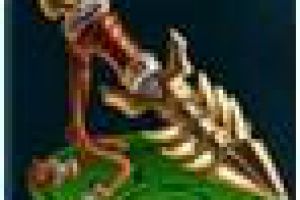 三棱骨锥图鉴资料介绍