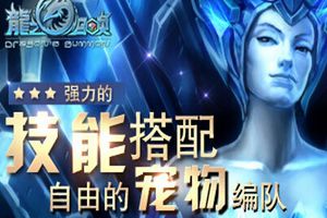 宠物升级技能最优方案