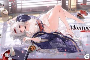 《碧蓝航线》蒙彼利埃换装「微醺时的降温措施」！