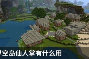 我的世界空岛仙人掌有什么用