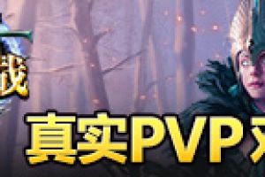 真实PVP对战