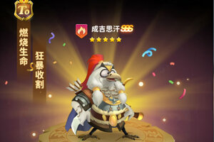 小鸟爱飞翔下载 2026官方最新安卓版小鸟爱飞翔下载安装方法盘点