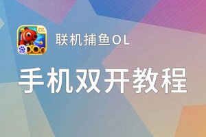 联机捕鱼OL双开神器 轻松一键搞定联机捕鱼OL挂机双开