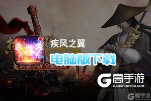 疾风之翼电脑版下载 横向测评：电脑玩疾风之翼模拟器推荐