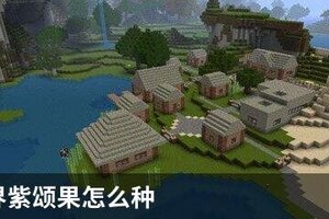 我的世界紫颂果怎么种