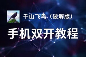 千山飞鸟（破解版）双开挂机软件盘点 2020最新免费千山飞鸟（破解版）双开挂机神器推荐