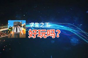 求生之王好玩吗？求生之王好不好玩评测