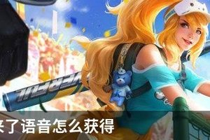 兄弟我来了语音怎么获得