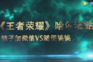 王者荣耀城市赛区哈尔滨站季军赛视频回顾 加微信VS随便搞搞