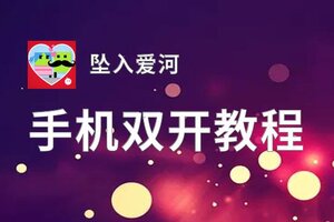 坠入爱河双开神器 轻松一键搞定坠入爱河挂机双开